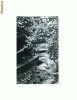 CP166-57 Slanic-Moldova -Aleea Izvoarelor -circulata 1967