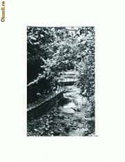 CP166-57 Slanic-Moldova -Aleea Izvoarelor -circulata 1967