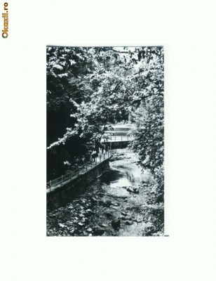 CP166-57 Slanic-Moldova -Aleea Izvoarelor -circulata 1967 foto