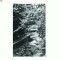 CP166-57 Slanic-Moldova -Aleea Izvoarelor -circulata 1967