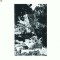 CP167-01 Olanesti, Izvorul nr.24 -circulata 1966