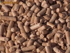 presa peleti (din rumegus, resturi vegetale,etc) foto