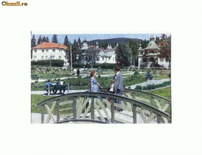 CP167-30 Vedere din Borsec -RPR -circulata1963 -superba foto
