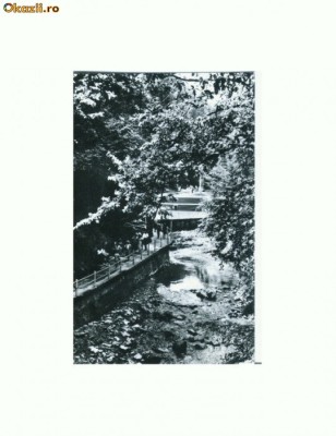 CP167-69 Slanic-Moldova, Aleea izvoarelor -circulata 1966 foto