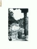 CP167-73 Vedere din Olanesti -circulata 1968