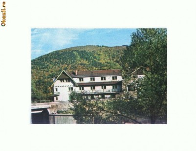 CP168-04 Timisu de Jos -Cabana Dambul Morii -circulata 1988 foto