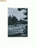 CP168-13 Sovata -Vedere din parc -RPR -circulata 1960