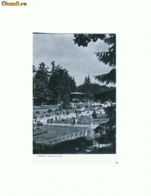 CP168-13 Sovata -Vedere din parc -RPR -circulata 1960 foto