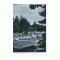 CP168-13 Sovata -Vedere din parc -RPR -circulata 1960