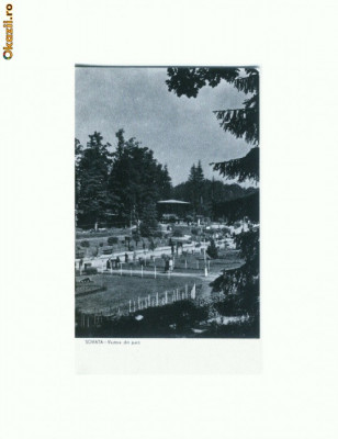 CP168-47 Sovata -Vedere din parc -RPR -circulata 1960 foto