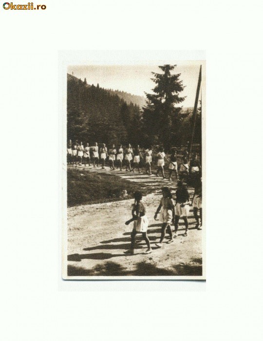 CP168-51Tusnad -Exercitii in aer liber-RPR-sepia-circulata1953 CP168-51Tusnad -Exercitii in aer liber-RPR-sepia-circulata1953
