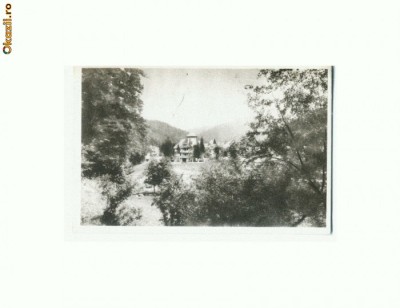 CP168-55 Busteni -Vedere -sepia -RPR -necirculata foto