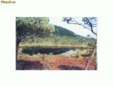 CP168-58 Rezervatia Naturala Mohos -necirculata