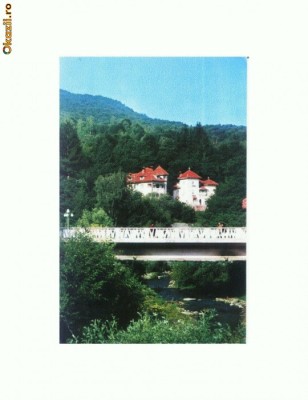 CP168-82 Olanesti -circulata 1992 foto