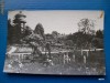 Cluj - Gradina botanica, turnul de apa # R.P.R., Circulata, Printata, Cluj Napoca
