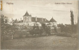 Romania Transilvania anii 1920 ilustrata Fagaras Castel Mihai Viteazul