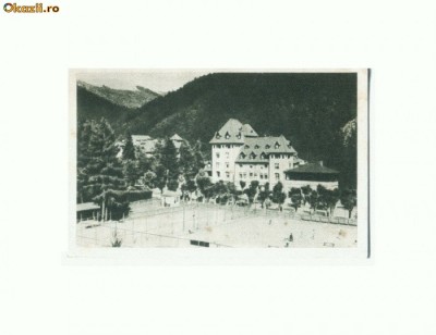 CP169-22 Vedere din Sinaia -circulata 1959 foto