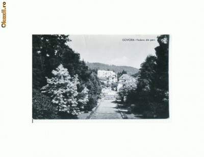 CP169-53 Govora -Vedere din parc -RPR -circulata1961 foto