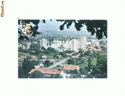 CP169-55 Sighetu Marmatiei -circulata 1979 foto
