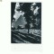 CP169-70 Busteni -Vedere -RPR -circulata 1964