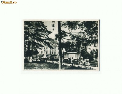 CP170-16 Braila, Parcul V.I.Lenin -RPR -necirculata foto