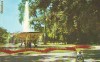 S-1482 Galati Vedere din parc Circulata