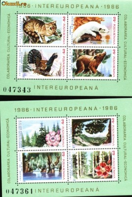 Colaborarea Cultural-Economica Intereuropeana,fauna,flora foto