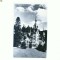 CP171-16 Sinaia -Muzeul Peles -RPR necirculata