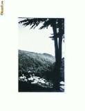 CP171-24 Manastirea Suzana (sec.XIX) -circulata 1968