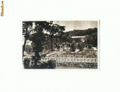 CP172-06 Sovata-Bai -RPR -necirculata -sepia foto