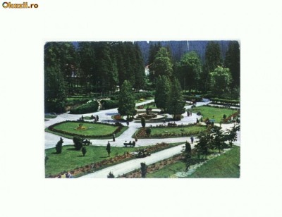 CP172-26 Borsec -Parcul Central -circulata 1971 foto