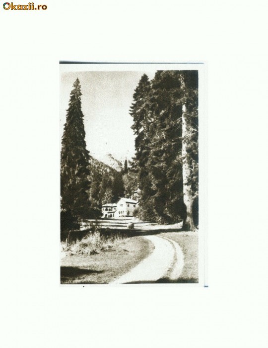 CP172-27 Sinaia -Foisorul -RPR -necirculata -sepia