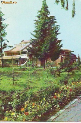 S-1328 Complexul turistic Izvorul Muresului Vedere Circulata foto