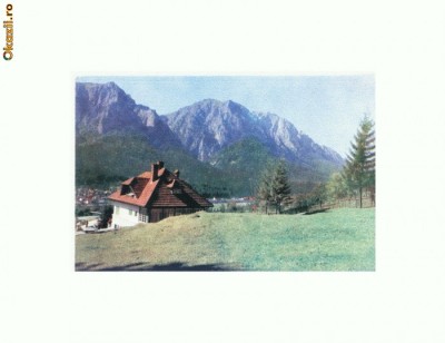 CP172-48Poiana Tapului-Vedere spre Bucegi-circulata1963RPR foto