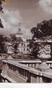 S-1915 Arad vedere din parc Necirculata
