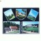 CP172-96 Predeal -circulata1972