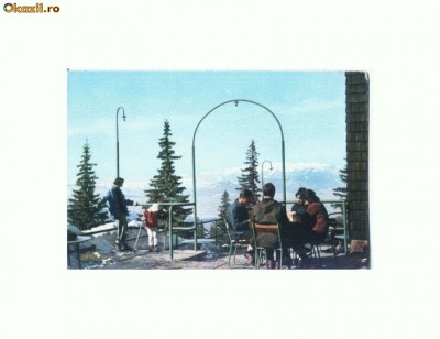 CP172-97Vedere de pe terasa cabanei Postavarul-circulata1966 foto
