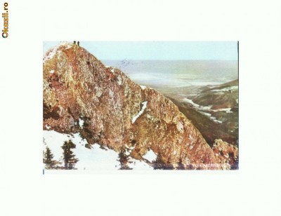CP173-37 Iarna pe masivul Postavarul -RPR -circulata 1964 foto