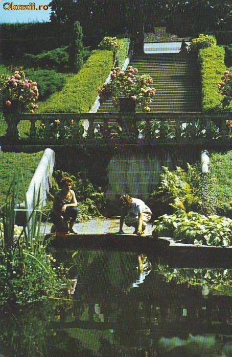 S 1770 Avrig Parcul sanatoriului Circulata S 1770 Avrig Parcul sanatoriului Circulata