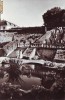 S 1763 Avrig Vedere din parc Circulata