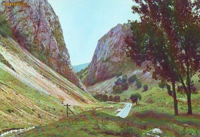 S 1736 Muntii Apuseni Cheile Valisoarei Necirculata foto