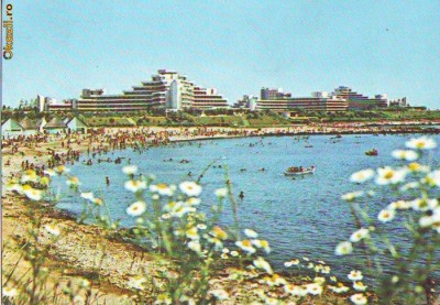 S 2038 Aurora Plaja Circulata foto