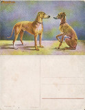 Caini de rasa-ilustrata 15-ilustratori, Necirculata, Printata