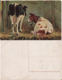 Ilustrata animale 9-vaci-ilustratori, Necirculata, Printata