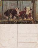 Ilustrata animale 13-vaci-ilustratori, Necirculata, Printata