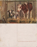 Ilustrata animale 14-vaci-ilustratori, Necirculata, Printata