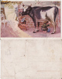 Ilustrata umoristica-animale-ilustratori, Necirculata, Printata