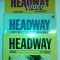 Manual HEADWAY, workbook, student s book, activiti book