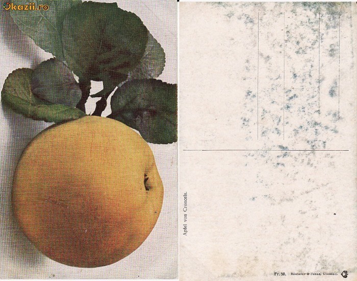 Fructe-carte postala 7-mere Fructe-carte postala 7-mere
