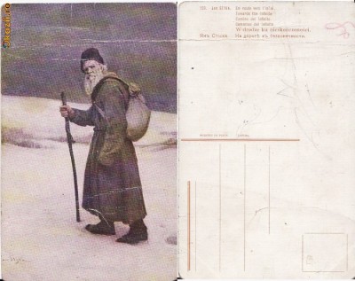 Ilustrator,picturi 7-Tolstoi foto